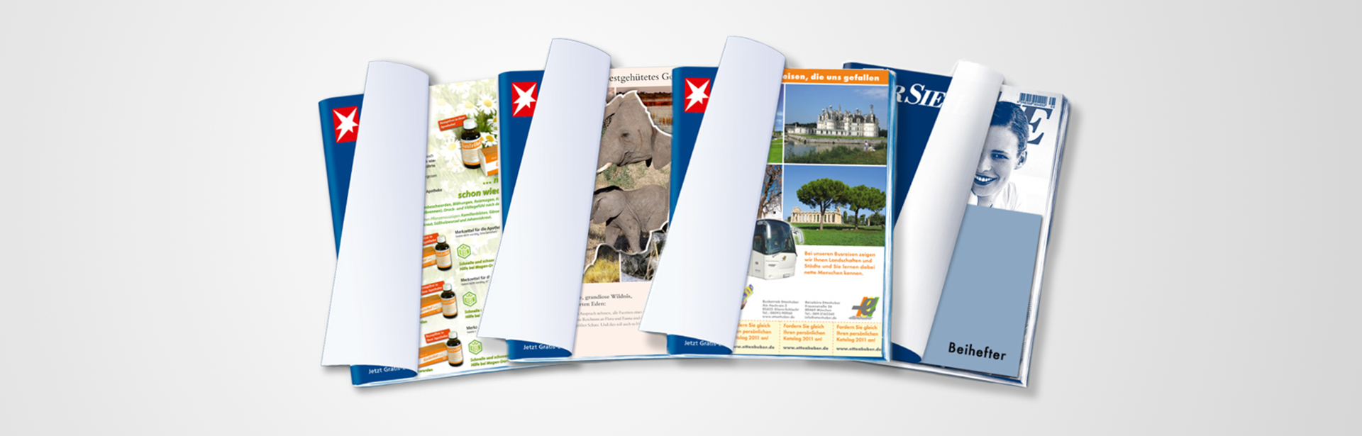 Laux Press Special Beihefter Header